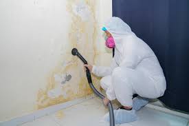 Best Mold Removal for HVAC Installations  in Wanamingo, MN